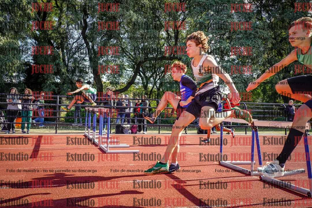 Fotos de los 110 m con vallas de varones