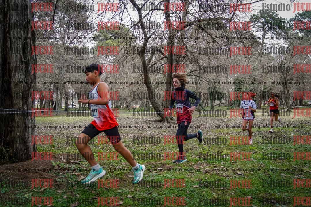 Fotos en el circuito