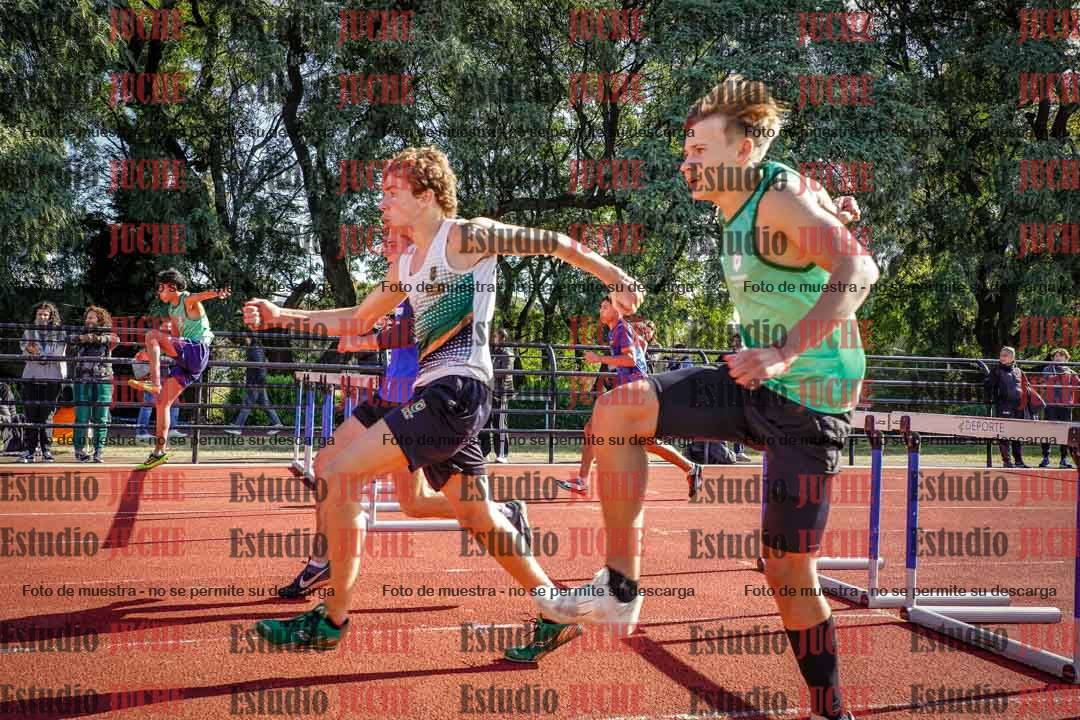 Fotos de los 110 m con vallas de varones