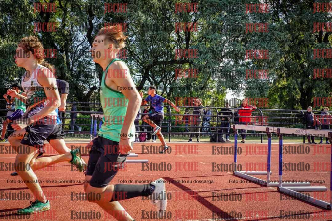 Fotos de los 110 m con vallas de varones