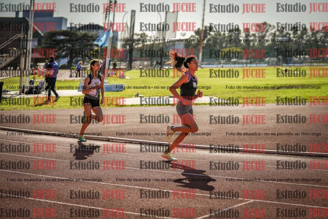 Fotos de los 800 m llanos de mujeres