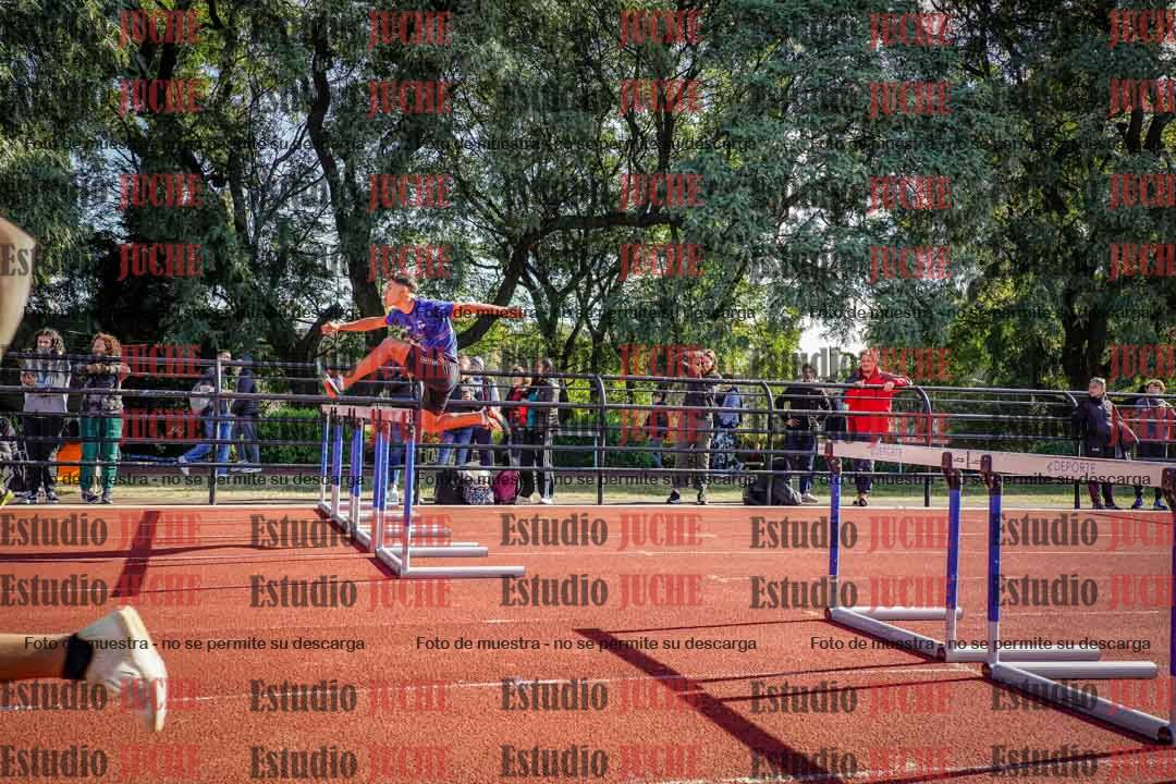 Fotos de los 110 m con vallas de varones