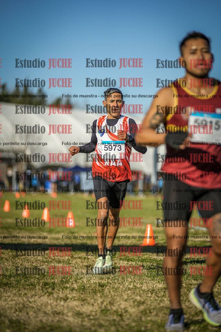 Fotos de las llegadas