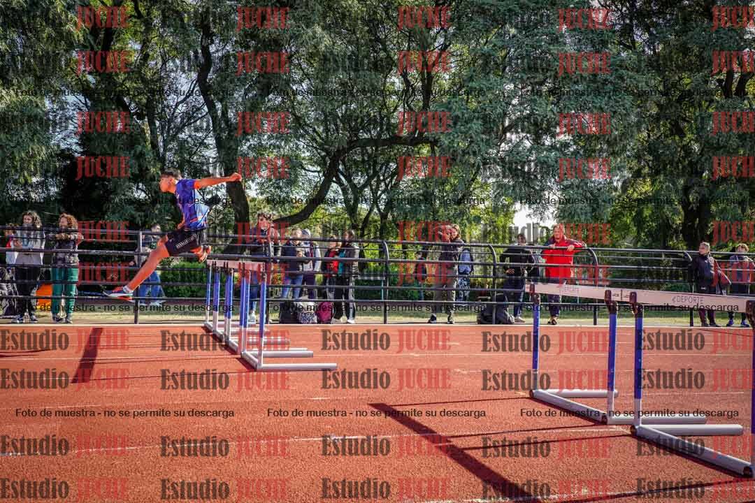 Fotos de los 110 m con vallas de varones