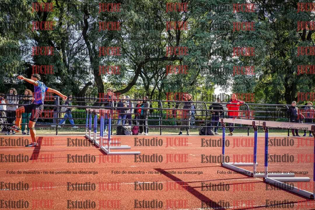 Fotos de los 110 m con vallas de varones