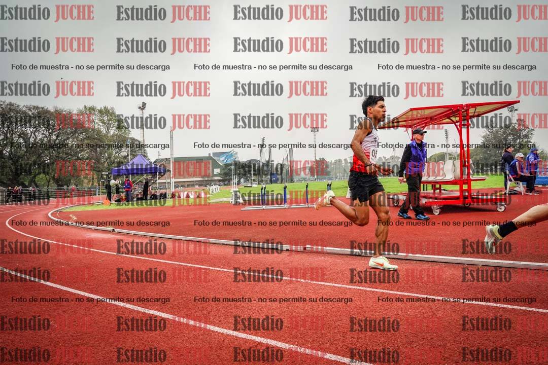 Fotos de los 800 m llanos de varones