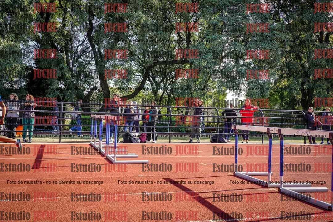 Fotos de los 110 m con vallas de varones