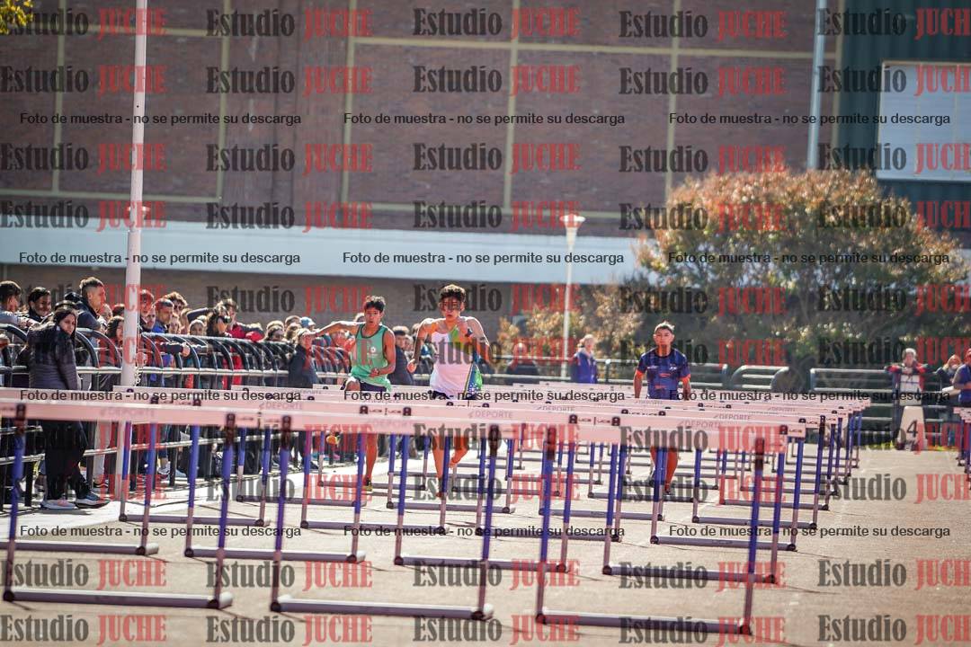 Fotos de los 110 m con vallas de varones