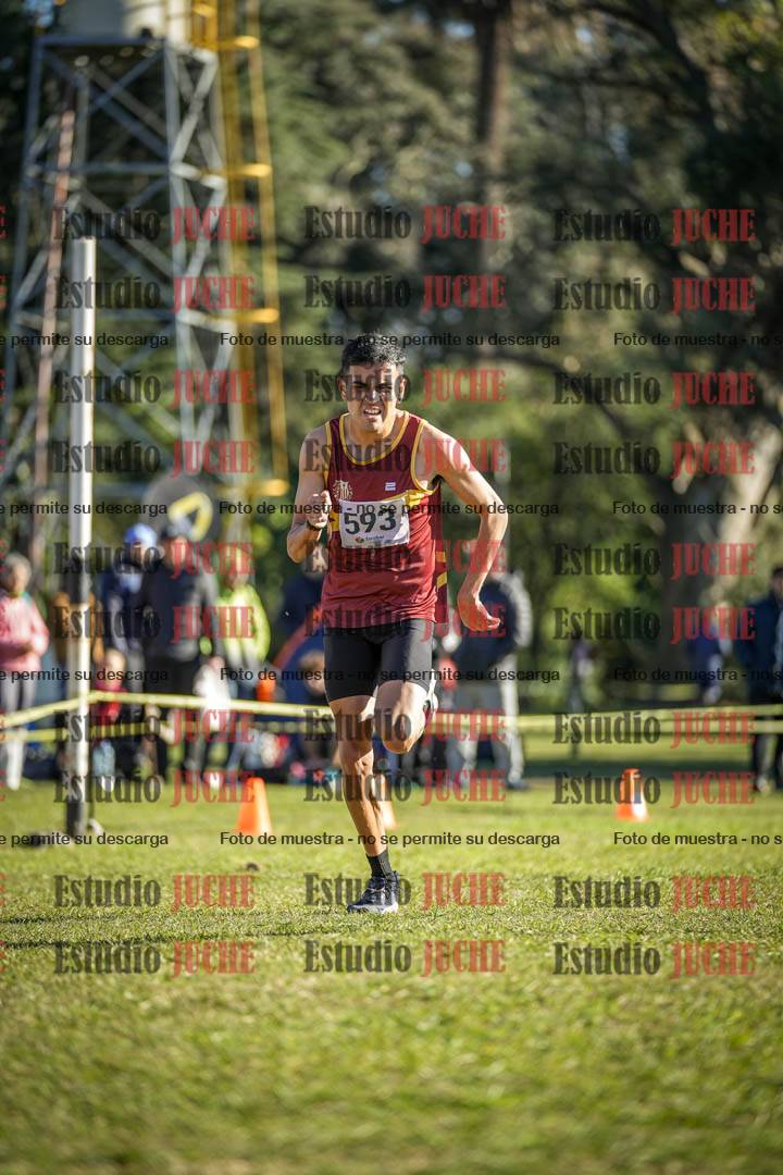 Fotos de la llegada del cross de 4000 m - varones