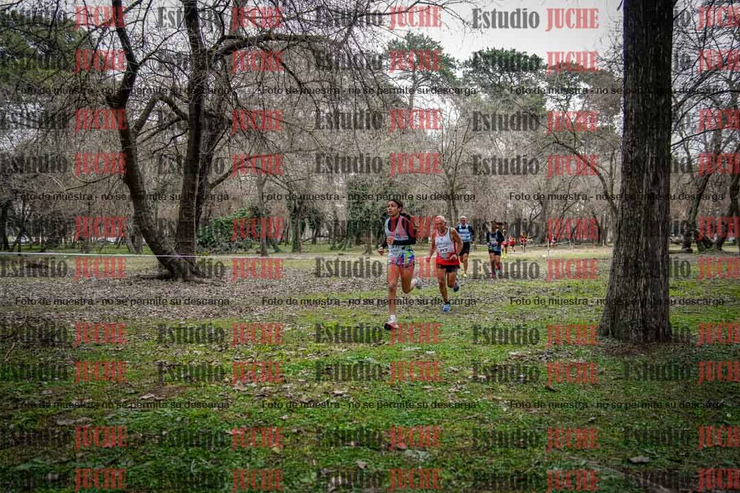 Fotos en el circuito