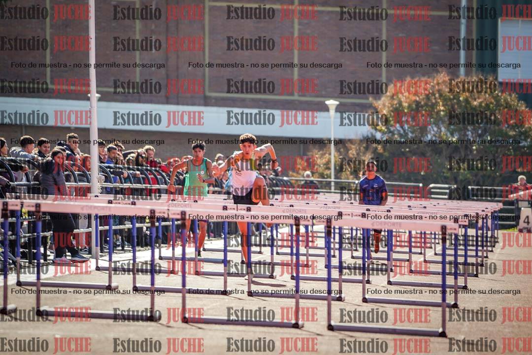Fotos de los 110 m con vallas de varones