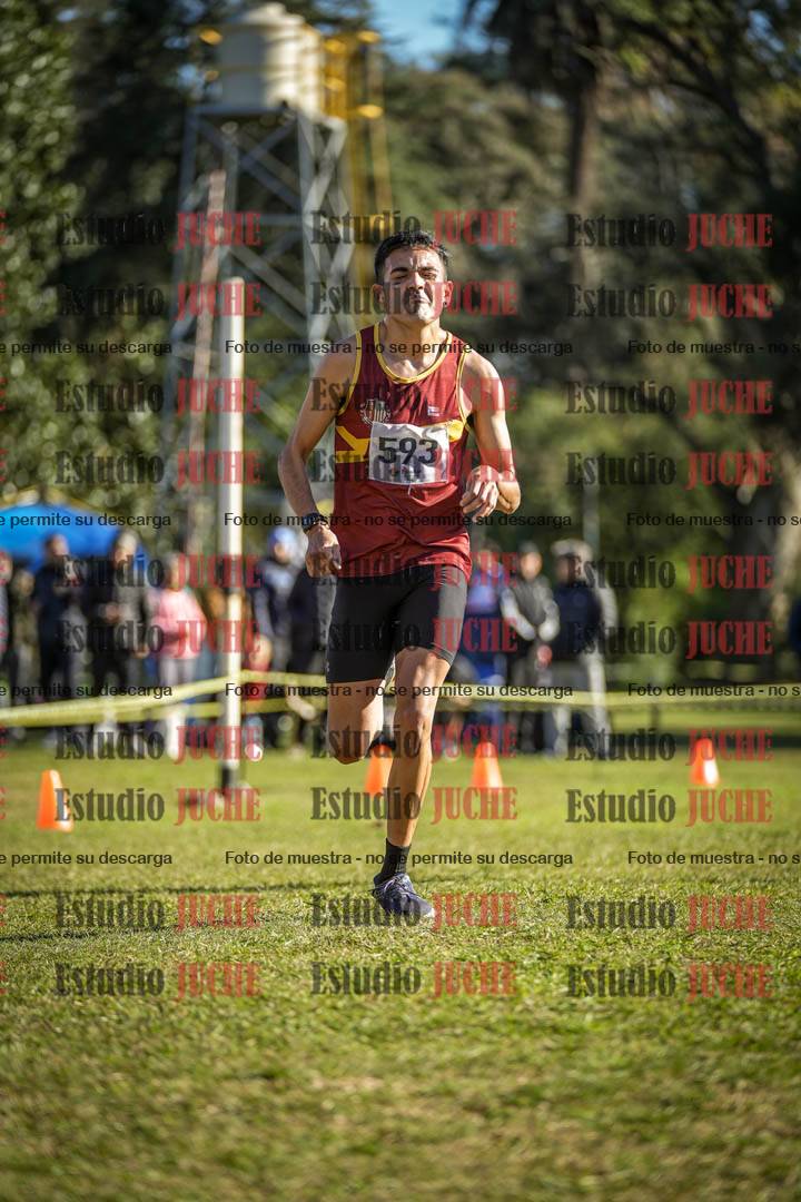 Fotos de la llegada del cross de 4000 m - varones