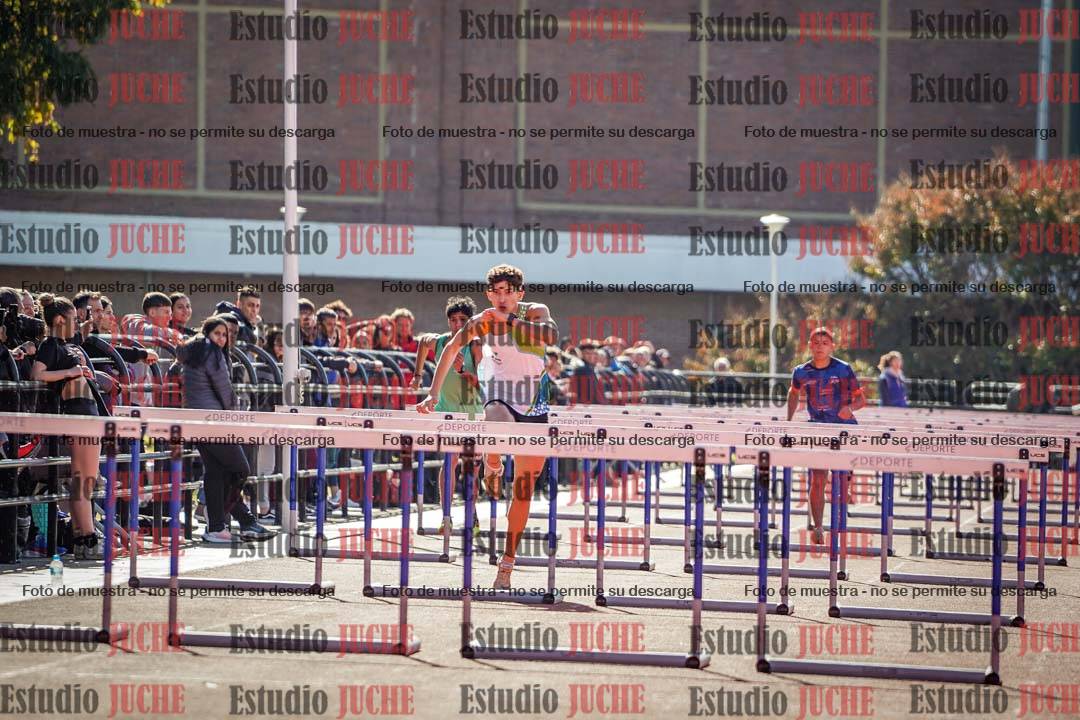 Fotos de los 110 m con vallas de varones