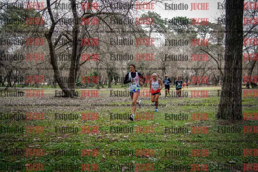 Fotos en el circuito