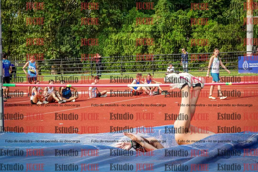 Fotos del salto en alto