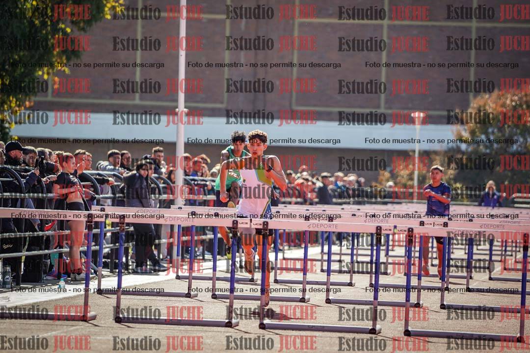 Fotos de los 110 m con vallas de varones