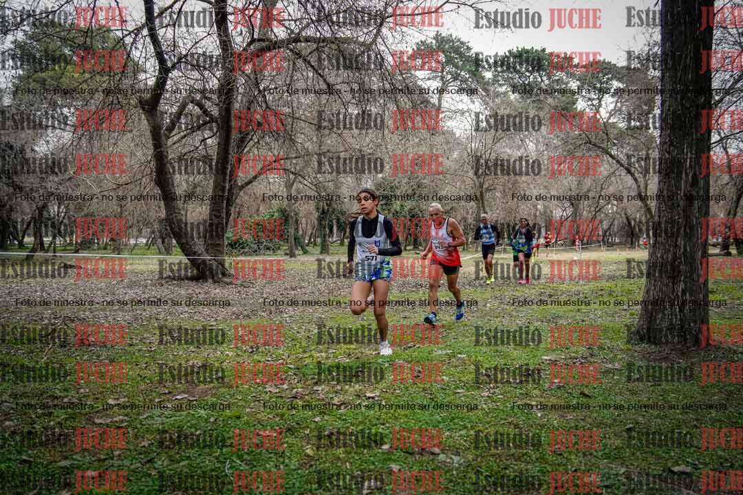 Fotos en el circuito