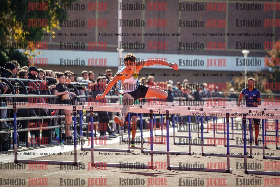 Fotos de los 110 m con vallas de varones