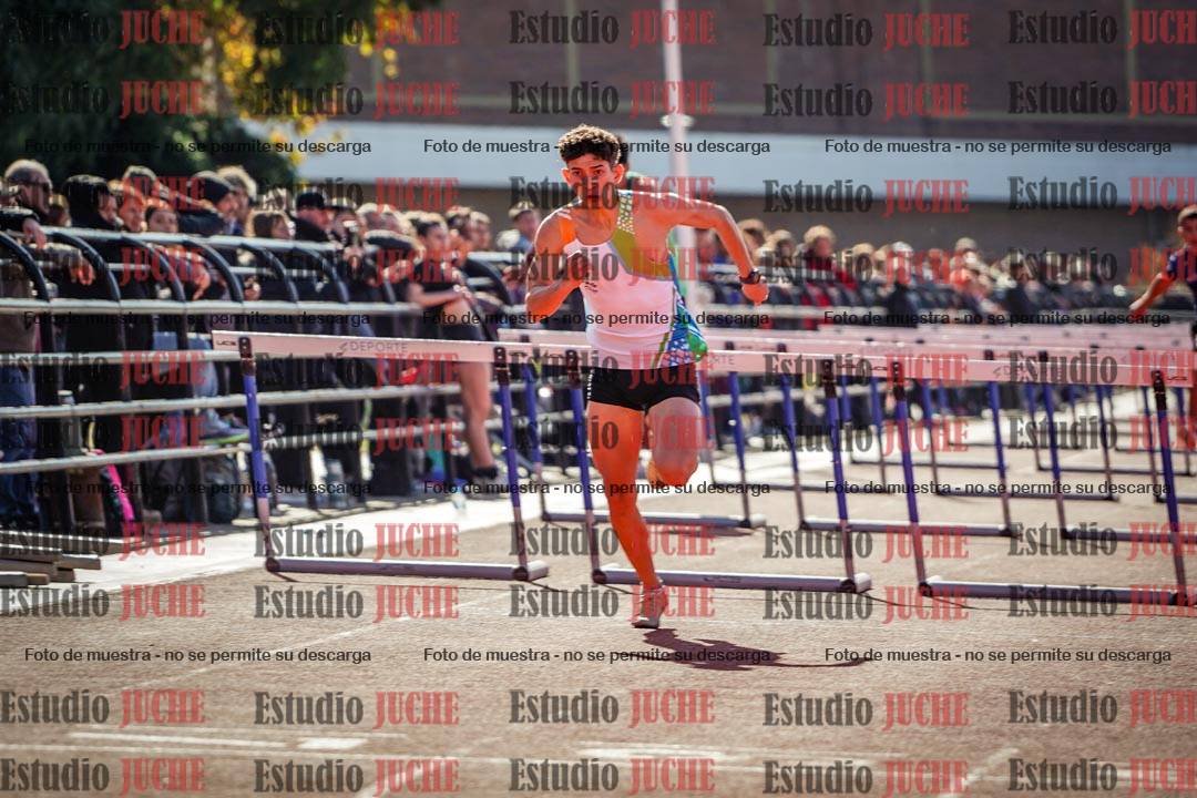 Fotos de los 110 m con vallas de varones
