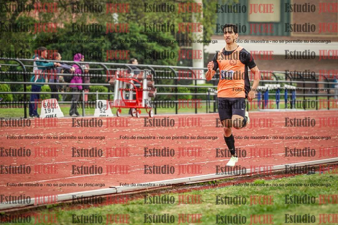 Fotos de los 800 m llanos de varones