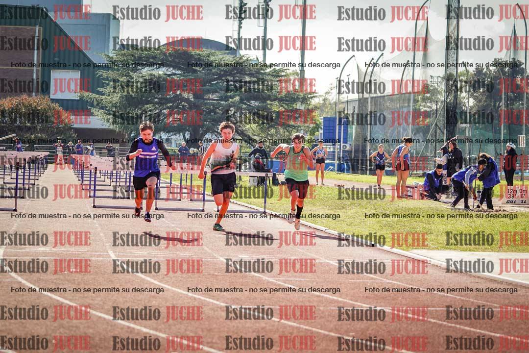 Fotos de los 110 m con vallas de varones