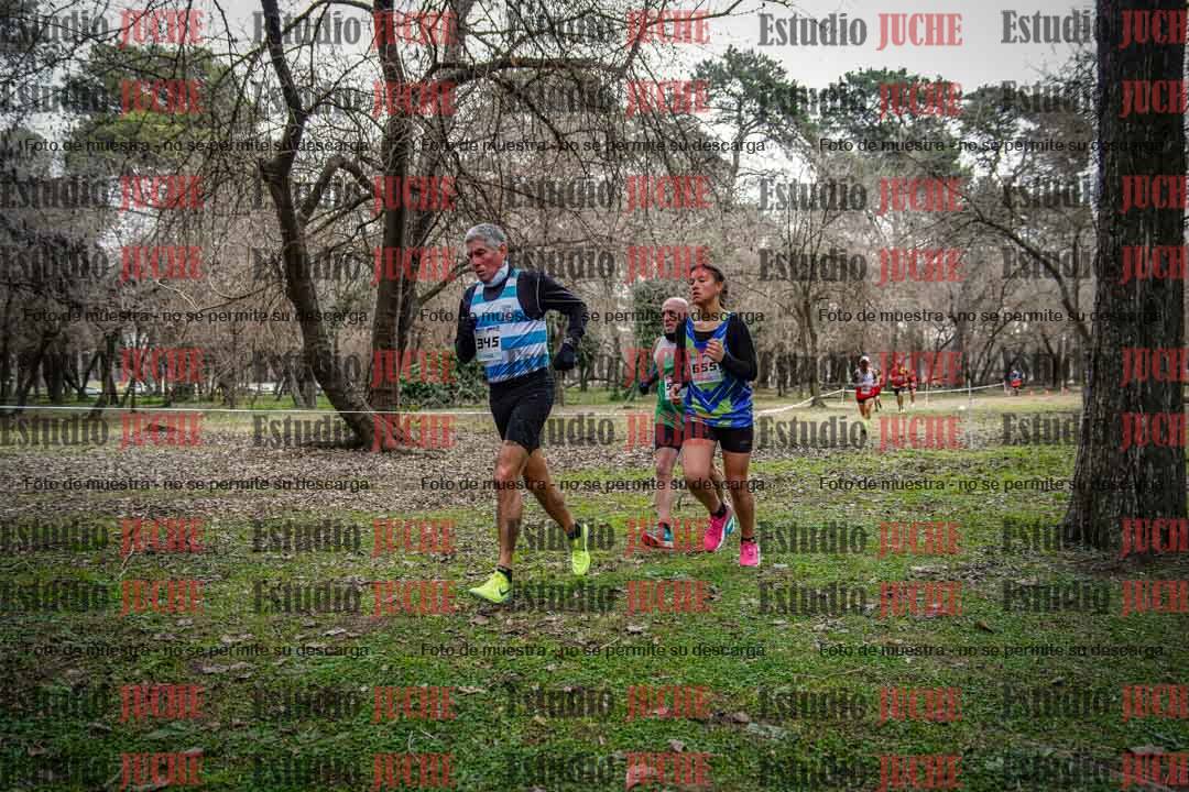 Fotos en el circuito