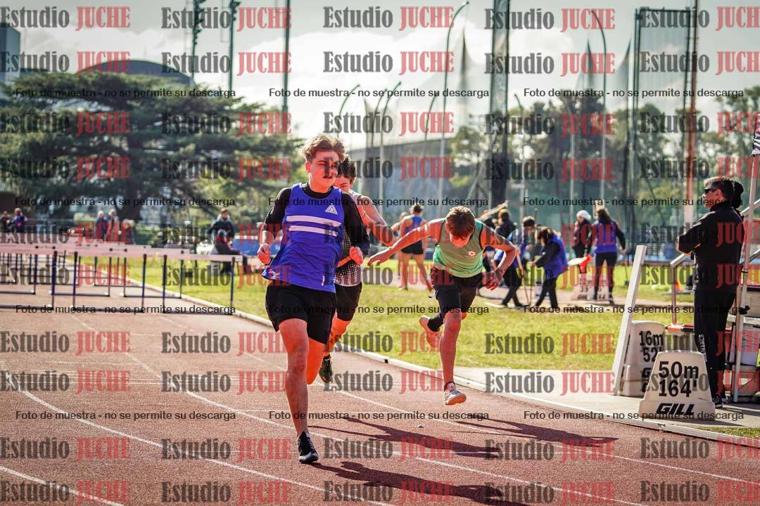 Fotos de los 110 m con vallas de varones