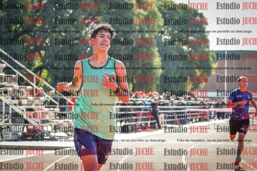 Fotos de los 110 m con vallas de varones