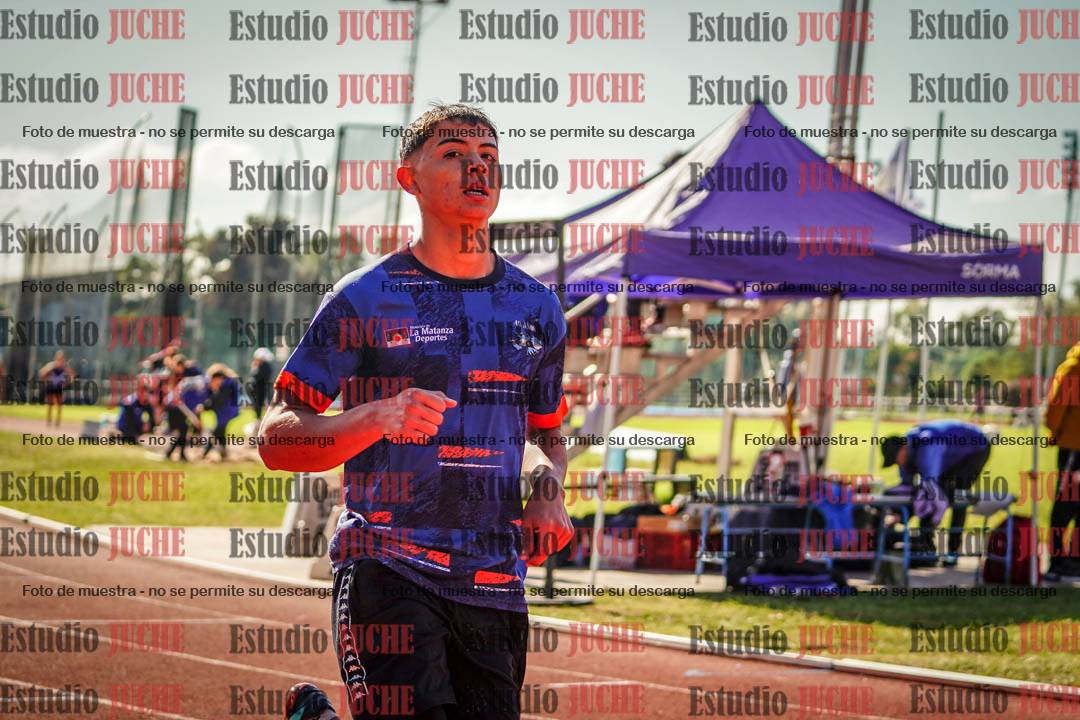 Fotos de los 110 m con vallas de varones
