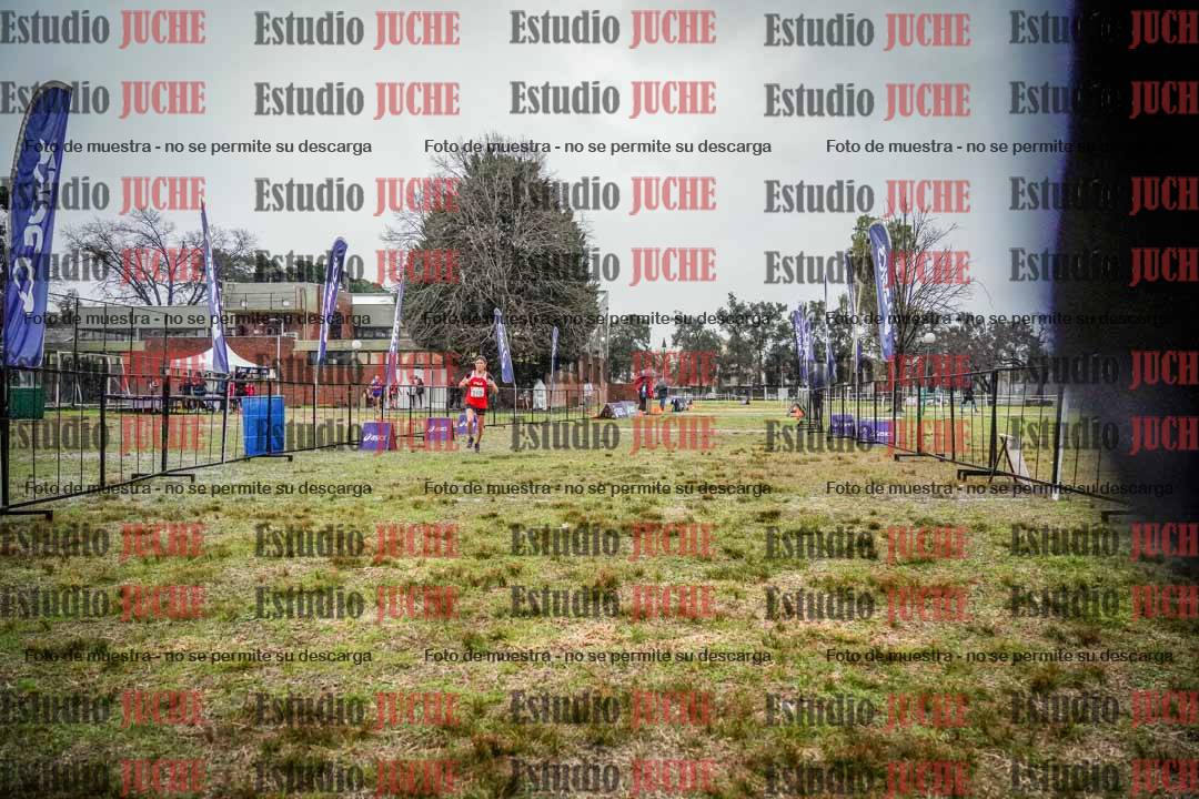 Fotos de la llegada