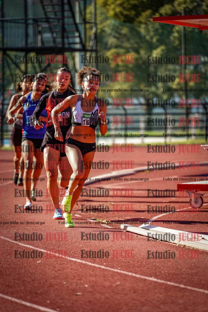 Fotos de los 800 m llanos de mujeres