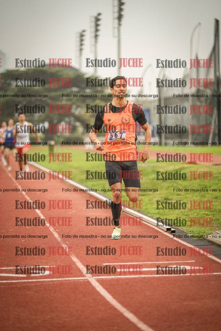 Fotos de los 800 m llanos de varones
