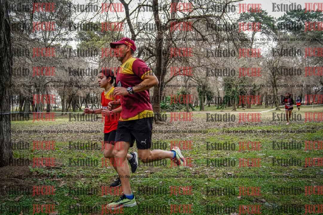Fotos en el circuito
