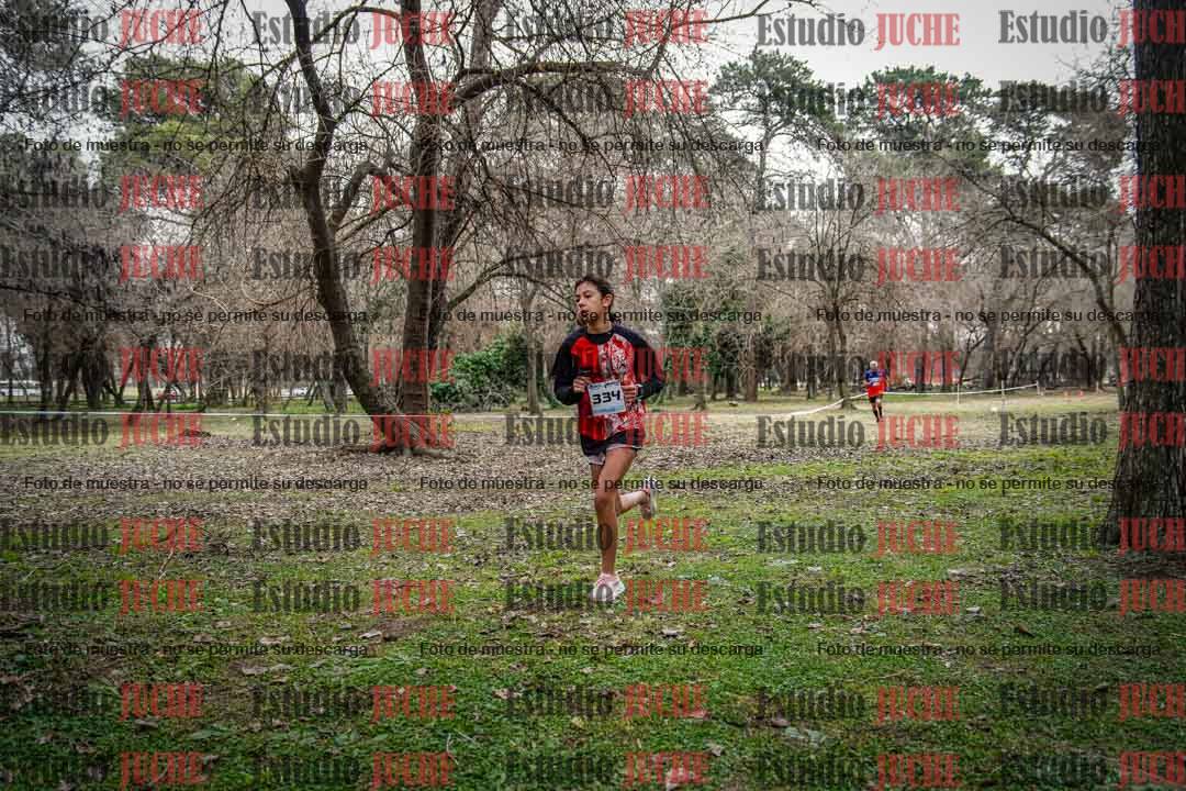 Fotos en el circuito