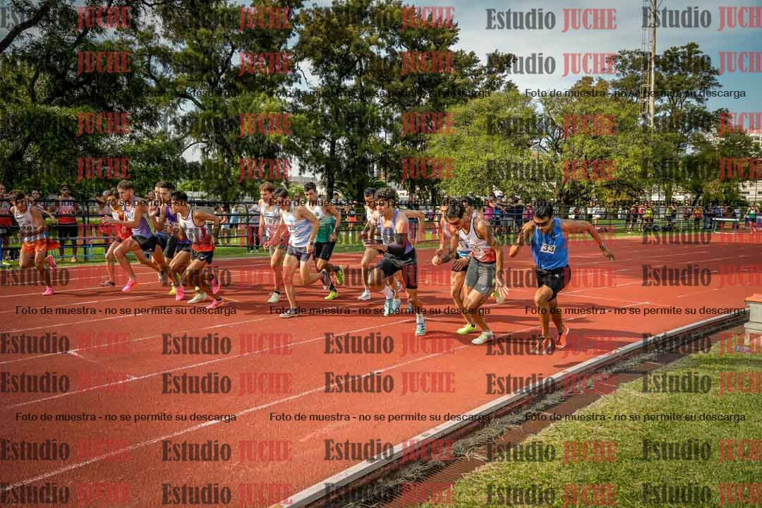 Fotos de los 3000 m llanos de varones