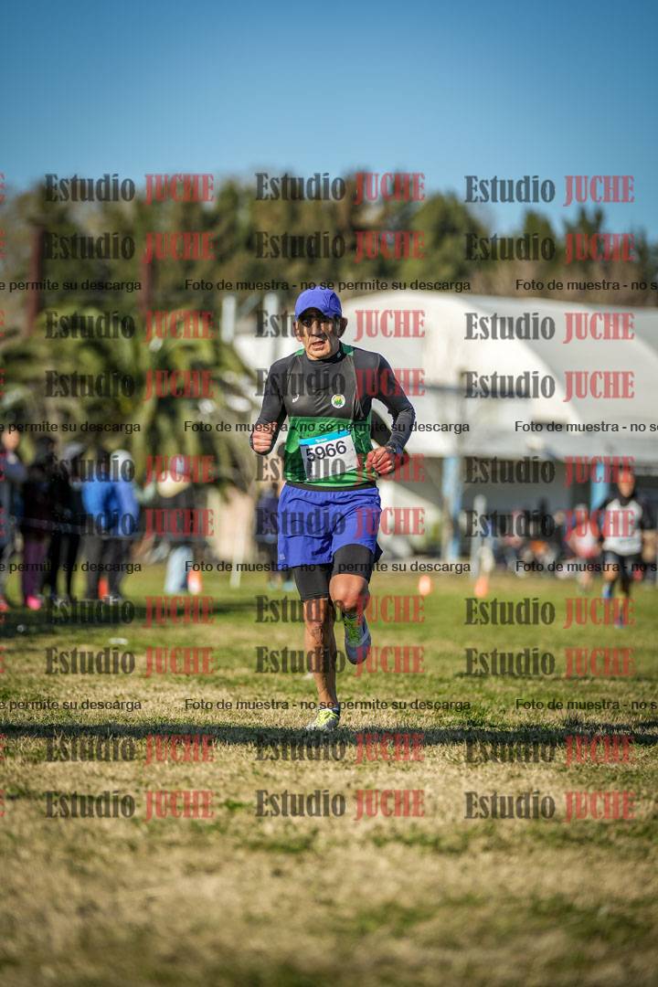 Fotos de las llegadas