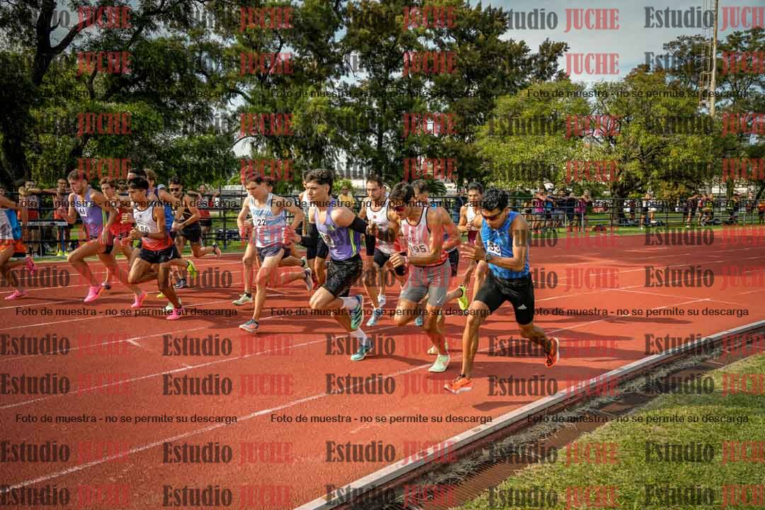 Fotos de los 3000 m llanos de varones