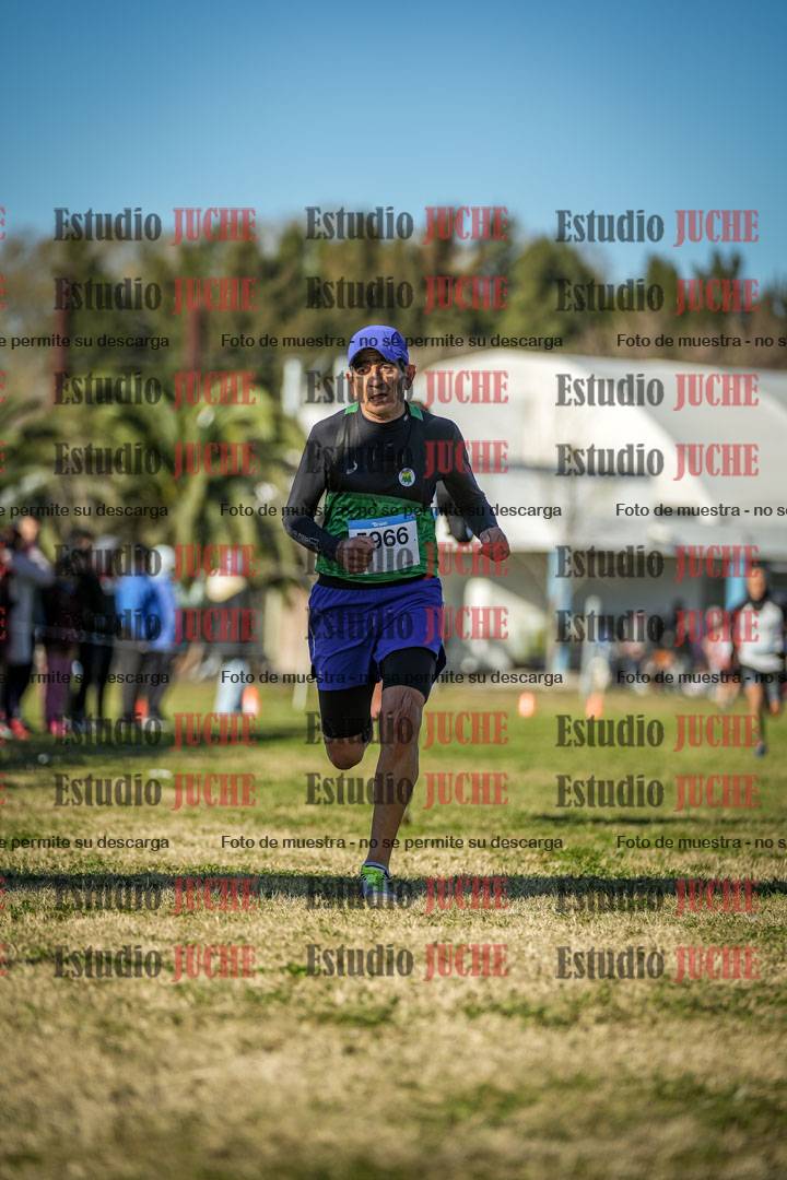 Fotos de las llegadas