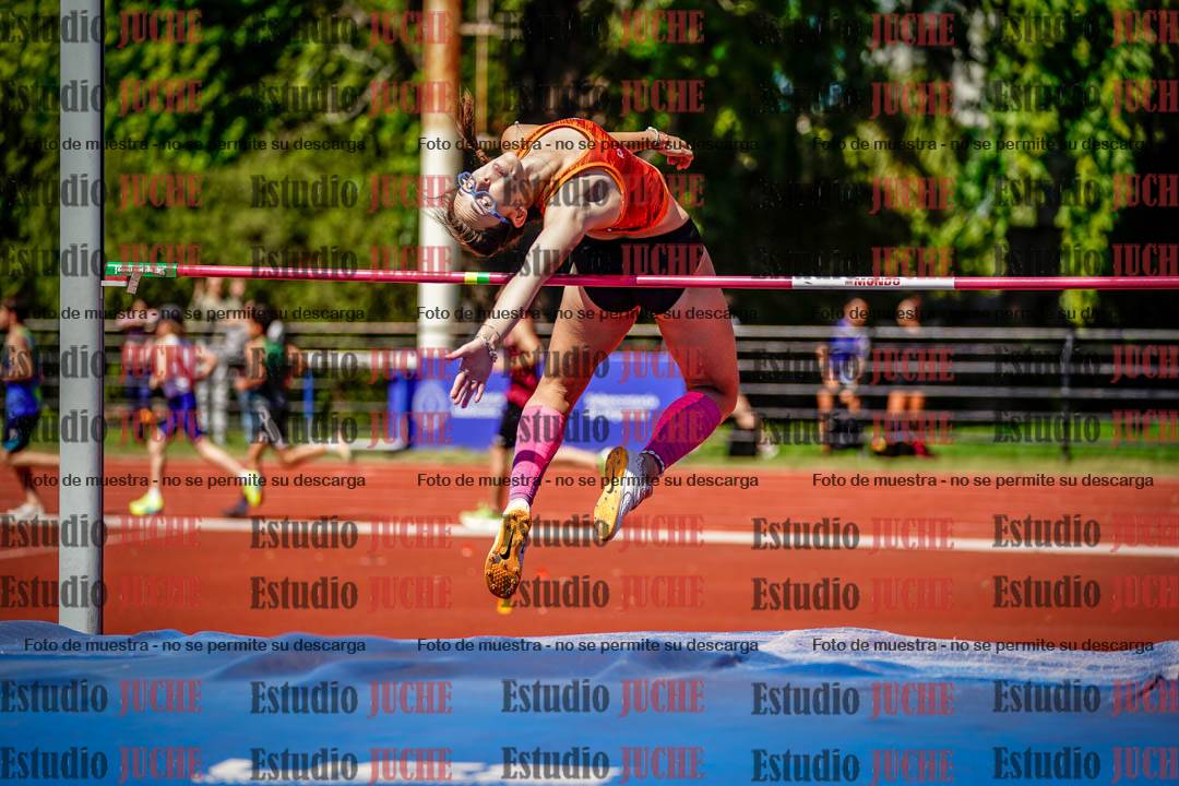 Fotos del salto en alto