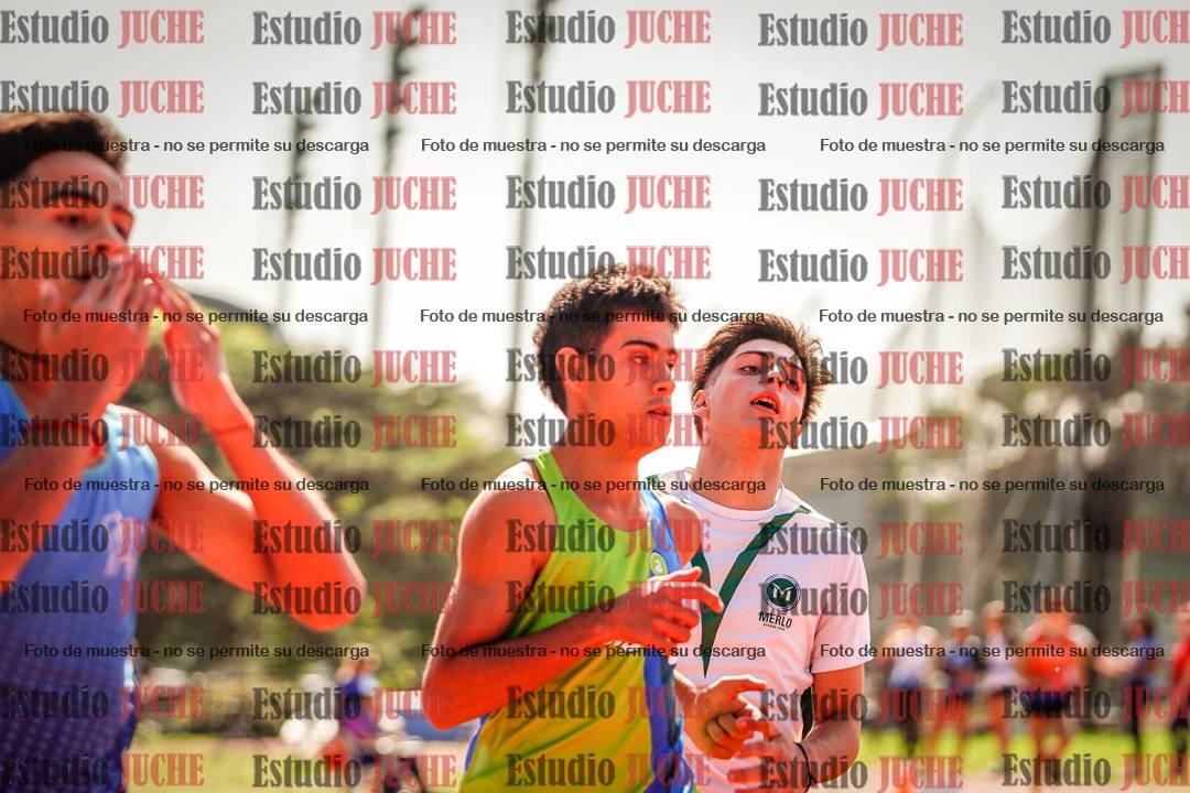 Fotos de los 100 m llanos de varones