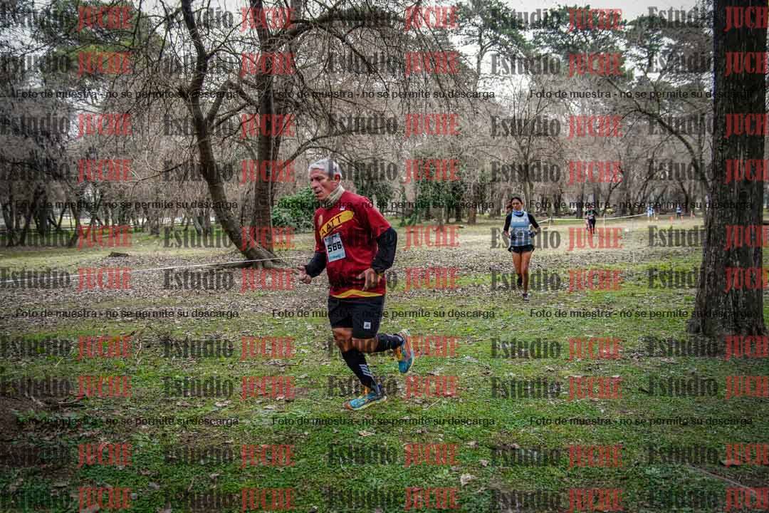Fotos en el circuito
