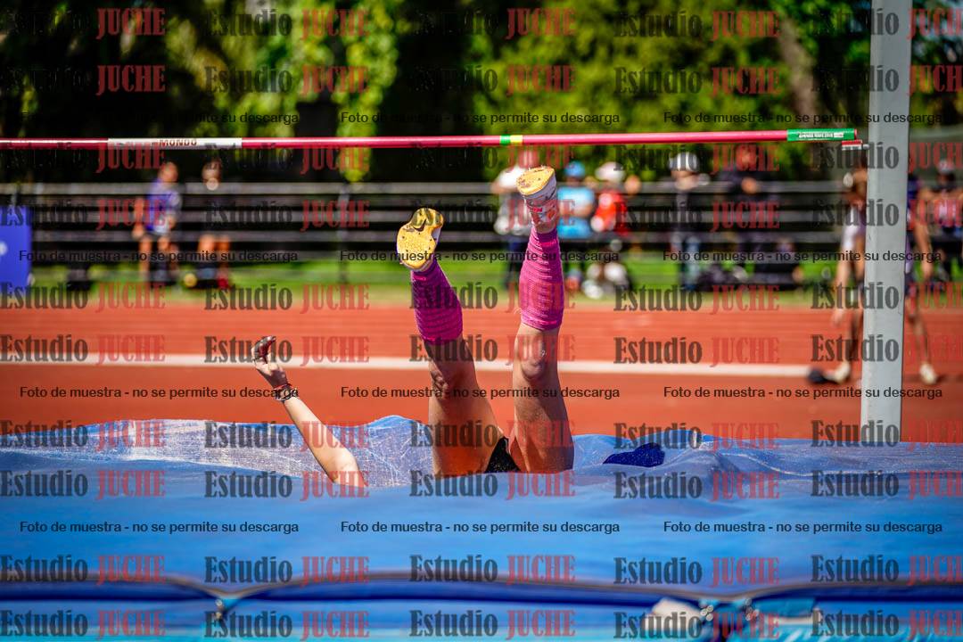 Fotos del salto en alto