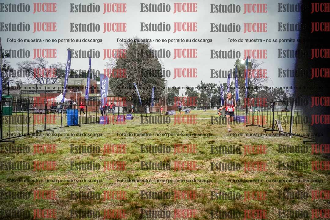 Fotos de la llegada