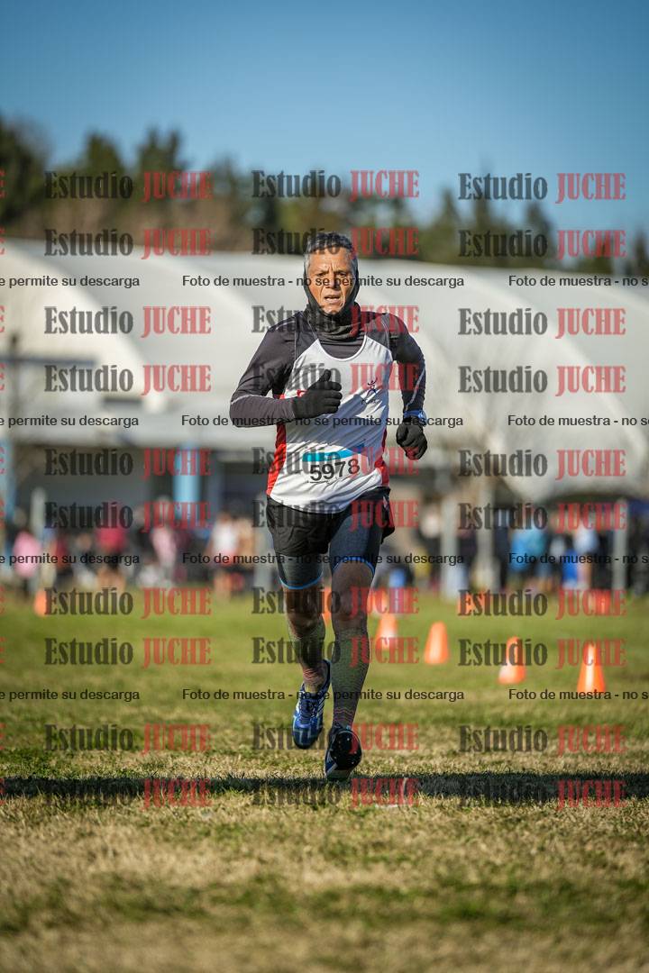 Fotos de las llegadas
