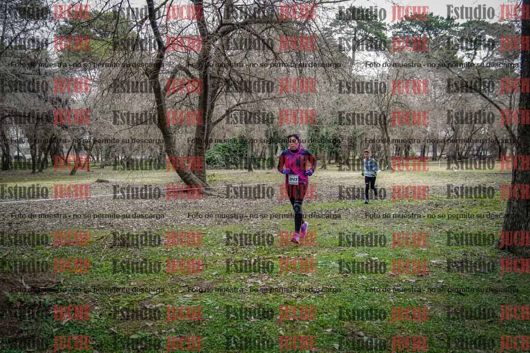 Fotos en el circuito