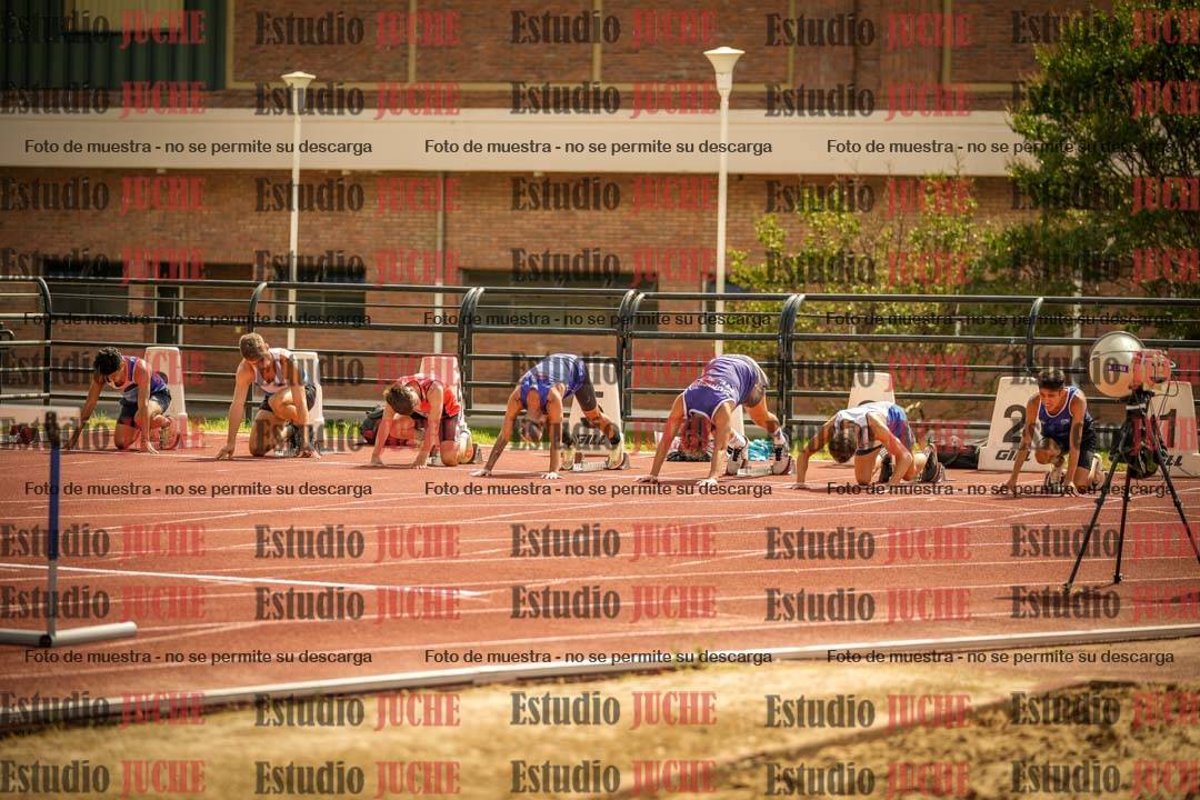 Fotos de los 110 m con vallas de varones