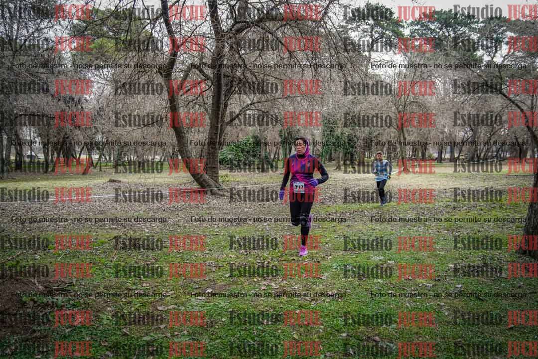 Fotos en el circuito