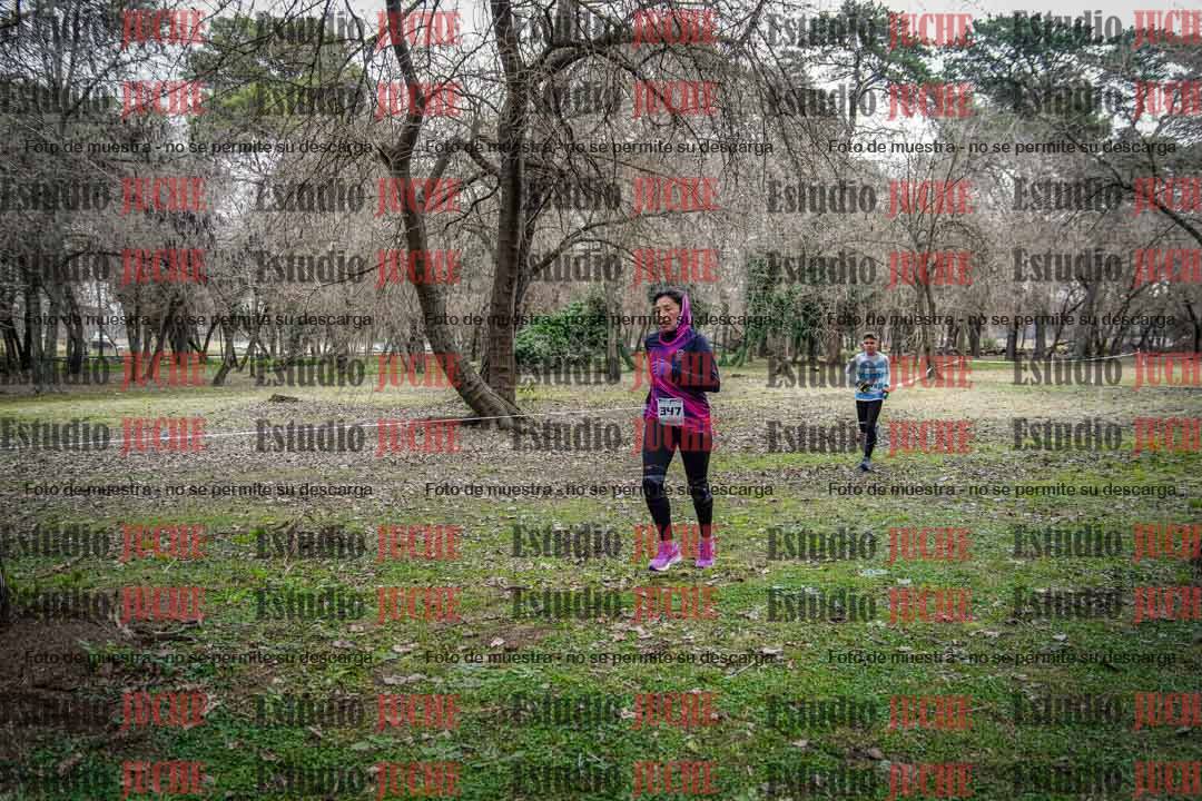 Fotos en el circuito