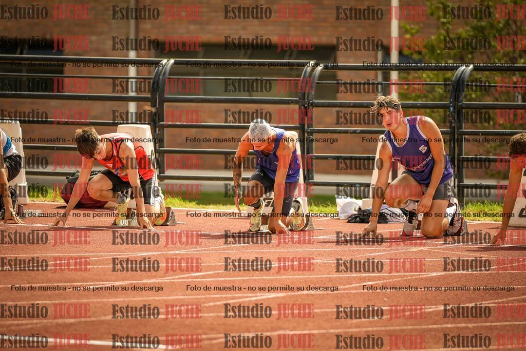 Fotos de los 110 m con vallas de varones