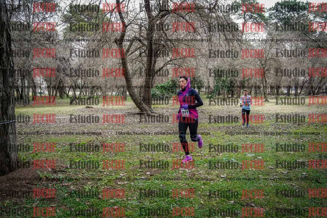 Fotos en el circuito
